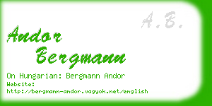 andor bergmann business card